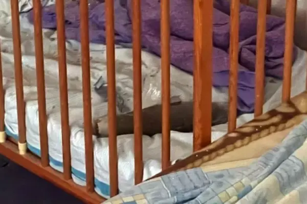 Поліція підтвердила непостраждалість хлопчика після падіння боєприпасу у ліжечко в Херсоні